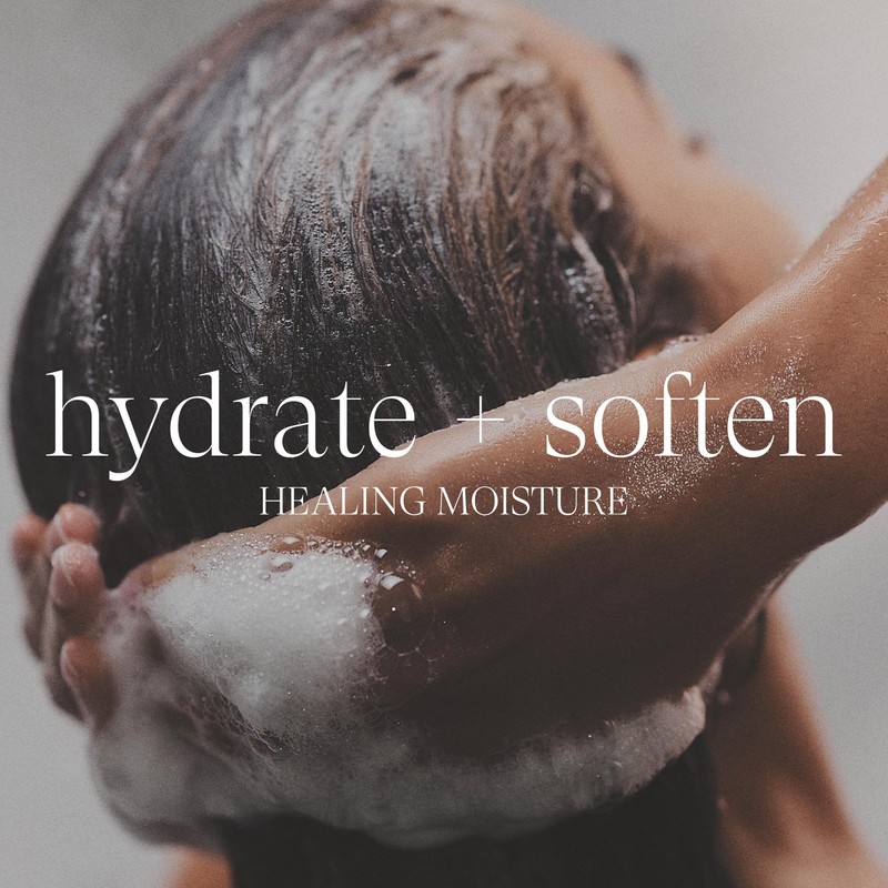 L’ANZA Healing Moisture Kukui Nut Conditioner, Renews Strength, Replenishes Moisture,