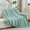 NEWCOSPLAY Super Soft Queen Blanket New Sage Green Premium Silky