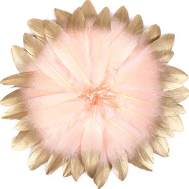 Larryhot Dipped Gold & Pink Goose Feathers for Crafts - 6-8 inch 60 pcs Natural Feathers for Wedding Party Decorations,DIY Crafts and Clothing Accessories (Gold & Pink)