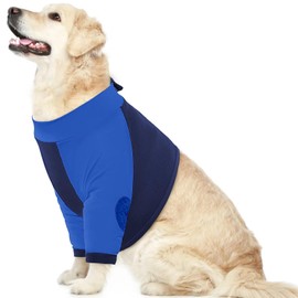 MIGOHI Dog Surgery Recovery Sleeve,Female and Male Dog Recovery Sleeve Front Leg,Dog Recovery Suit Cone Collar Alternative for Sprain Arthritis,Pet Wounds Prevent Licking, Bite,Blue,2XL