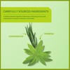 Wissotzky Lemongrass & Verbena Green Tea (6 Pack - 120