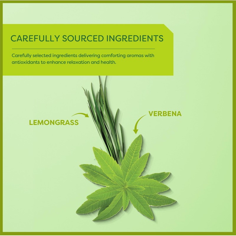 Wissotzky Lemongrass & Verbena Green Tea (6 Pack - 120