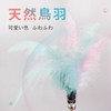 SONGWAY Cat Toy Feather, Cat Teaser, Popular Feather, Cat Toy,