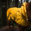 Wilderdog Dog Jacket Waterproof Raincoat with Breathable Interior, Removable Hood,