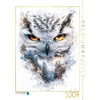 CALVENDO Puzzle Owl | Size