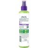 Garnier Fructis Curl Shape Defining Spray Gel, Coconut Water, 8.5
