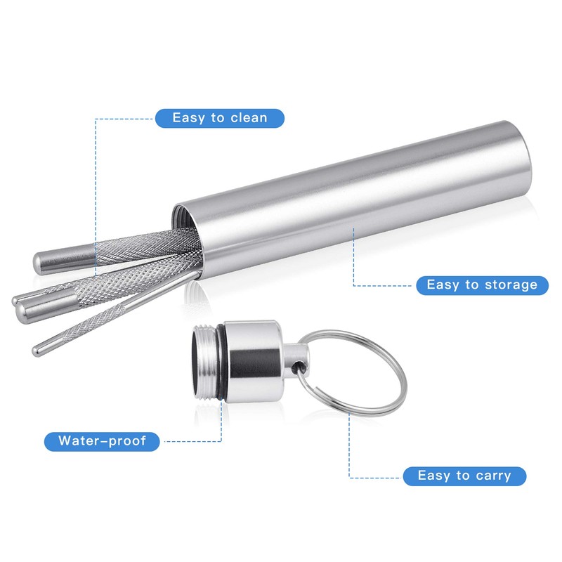 Worldity 5Pcs Reusable Toothpick, Portable Metal Toothpick, Professional Teeth Cleaning