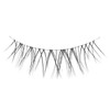 CLEAREYELASH Natural False Eyelashes, 3D 3D Matsueku Made, 5 Pairs