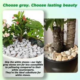 Mulctun 45LB Natural Grey Gravel, 0.8"-1.8" River Rocks,Decorative Pebbles for Indoor Outdoor Planters, Terrarium Rocks in Bulk,Aquarium Gravel for Pathways Backyard Walkways Landscaping Fish Tank