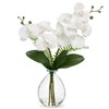 White Orchids Artificial Flowers, Faux Orchid in Glass Vase Real