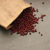 Adzuki Bean Sprouting Seeds - 15 g Packet ~125 Seeds