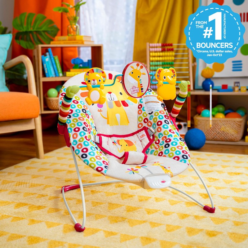 Bright Starts Portable Baby Bouncer Soothing Vibrations Infant Seat with