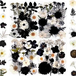 MIKIYA 90Pcs Black Pressed Dried Flowers for Resin Molds, Real Natural Bulk Dry Floral Leave for DIY Art Crafts, Epoxy Jewelry, Candle, Soap Making, Nails Decors Gifts