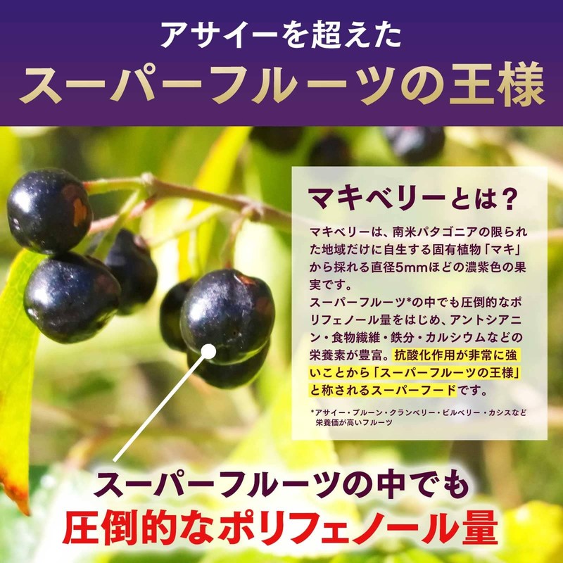 NaTruly（ナトゥリー） オーガニック マキベリー パウダー 100g 有機JAS認証 無農薬 フリーズドライ 添加物不使用