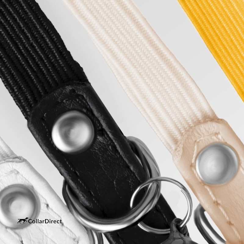 CollarDirect Leather Cat Collar with Safety Clasp, 21.5 cm, Lime
