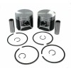 Aftermarket 1999 Arctic Cat ZL 600 Piston Kits Std Stock