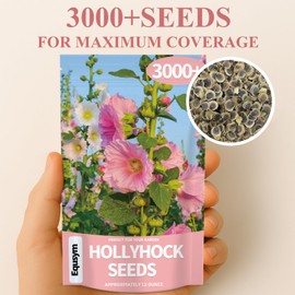 Hollyhock Seeds 3000+ Bulk Pack - Colorful Perennial Blooms, Attracts Pollinators, Easy to Grow, Tall Garden Beauty - Perfect for Outdoor Landscaping, Backyard Shade, and Cottage Flower Gardens