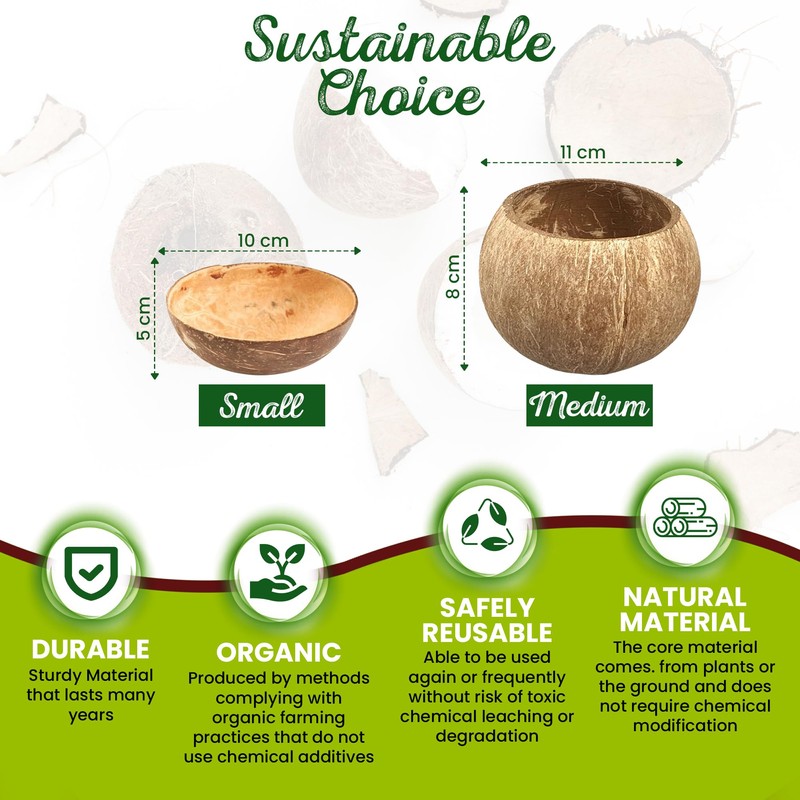 Eco Leaf 10-Pack 350ML Natural Coconut Bowls| Natural Coconut Shell