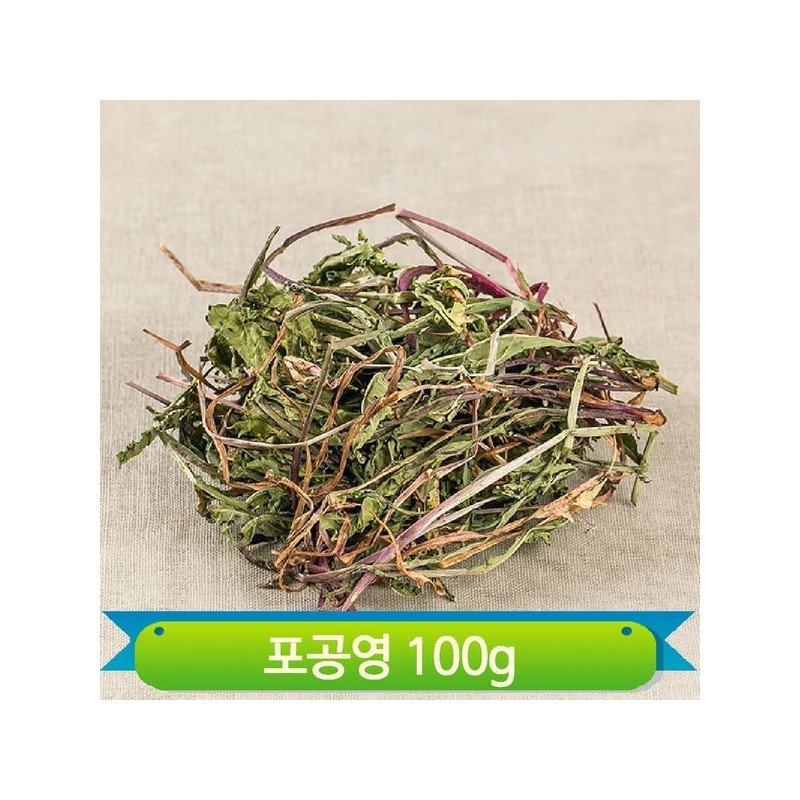 국내산 말린 민들레 100g 건조 포공영 차가운성질 약재 요리 다용도