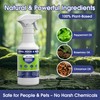 BIO YOLO Rodent Repellent Spray, 16oz – Effective Natural Peppermint