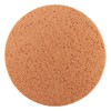 Titan Sponge Disc for CSM375 – Diameter 377 mm –