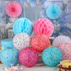 Riakrum 18 Pcs Donut Birthday Party Decorations Round Donut Lanterns