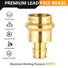 (Bottled) 10-Pack HeSun Brass Press Fitting Adapter, 3/4" PRESS X