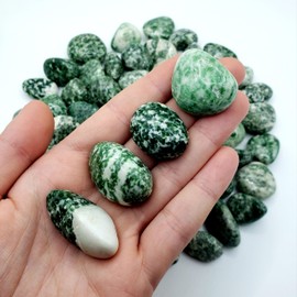 Tree Agate Natural Healing Crystal Gemstone tumbled & hand polished Stones - 2pc set tree agate