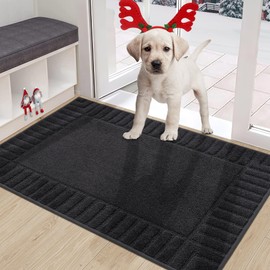 BEQHAUSE Door-Mat-Non-Slip Dirt Trapper Door Mats Low-Profile Front Door Mat Absorbent Floor Mats for Entryway Washable Mud Resistant Home Entrance Doormat,Dark Grey,24"x36"