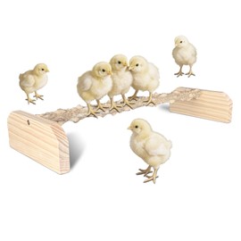 YCaeiou Natural Textured Wood Baby Chicken Roosting Perch - Poultry Perch Toy for Chick/Bird, Easy Install Chick Roost for Brooder Box/Coop Accessories