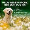 Vet's Best Allergy Itch Relief Dog Shampoo, 16 Ounces