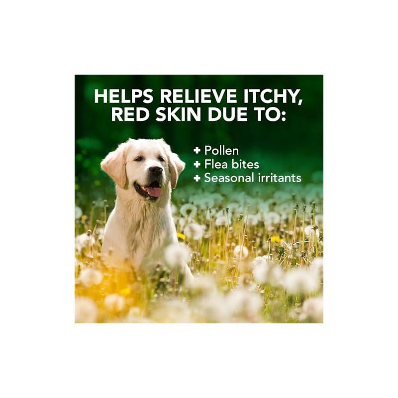 Vet's Best Allergy Itch Relief Dog Shampoo, 16 Ounces