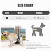 Carrying Aid, Dog Stairs, Dog Lift Harness, Mobility Aids, Carrying
