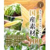 Tea no Daifukuen Corn Tea Bag, Corn Tea, Decaffeinated Tea,
