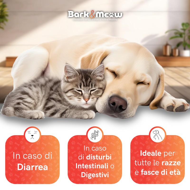DiarBlock Rapid Antidiarroico ad azione immediata per cani e gatti.