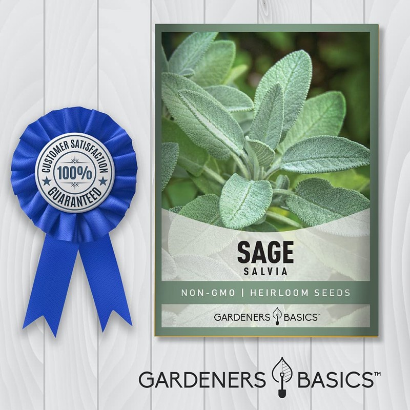 Gardeners Basics, Sage Seeds for Planting Heirloom, Non-GMO Herb Variety-