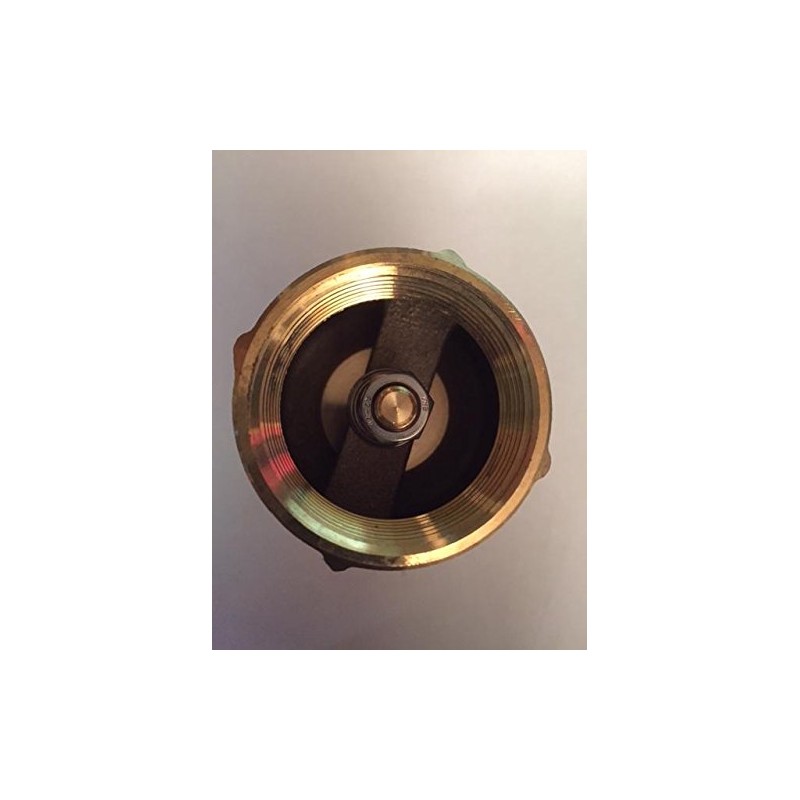 1-1/2 in. Brass Check Valve
