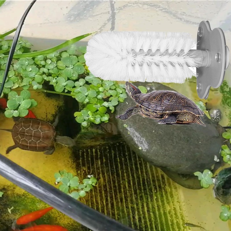 2pcs Turtle Brush with Suction Cup, Turtles Shell Scrub Scratcher