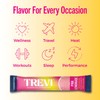 TREVI™ Sugar Free Electrolytes - Drink Mix Hydration Powder Packets
