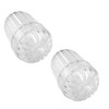 YHXiXi 2PCS Fruit Infuser Wide Mouth Bottle Tea Infuser Tea