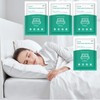 Breenhill 4 Pack Disposable Bed Sheets - Queen Size with