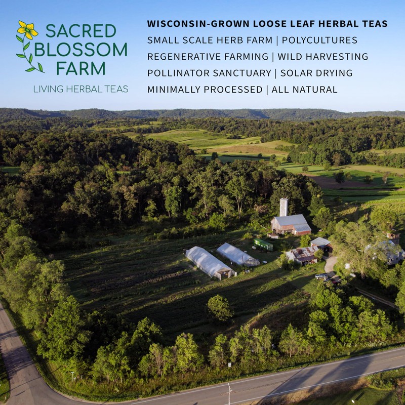 Dream Herbal Tea | Sacred Blossom Farm | 1.9 oz.