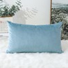 Artscope Luxury Velvet Cushion Covers Super Soft Decorative Rectangle Throw