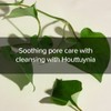 Mary&May [Mary&May]Houttuynia Cordata + Tea Tree Cleansing Foam 150ml