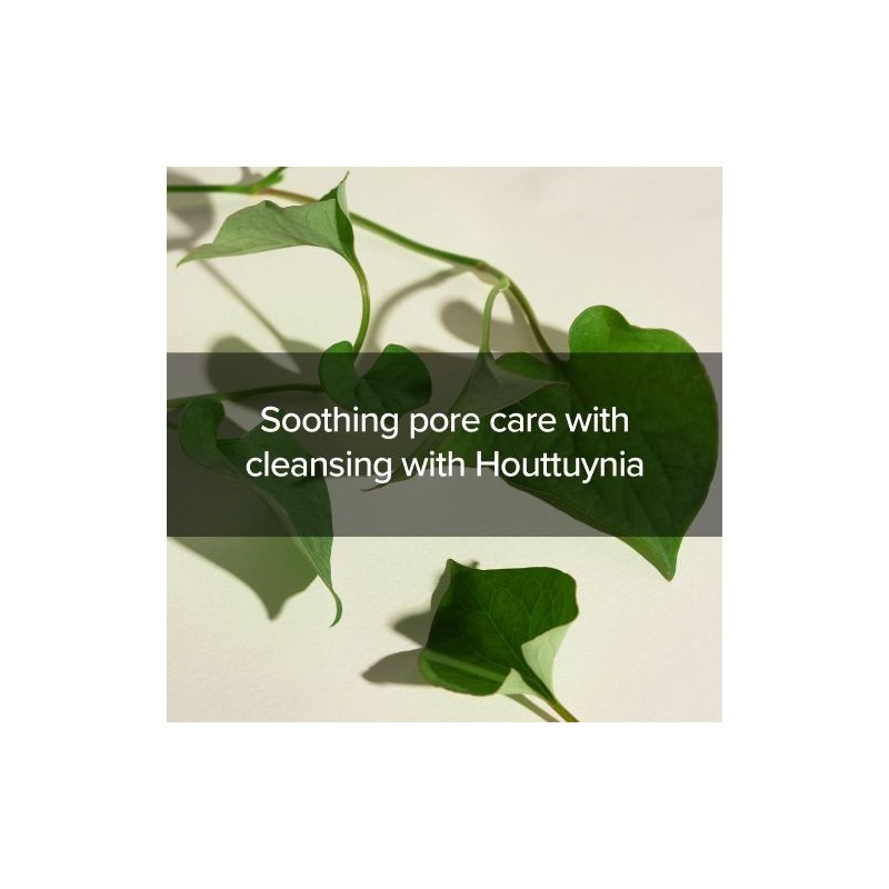 Mary&May [Mary&May]Houttuynia Cordata + Tea Tree Cleansing Foam 150ml