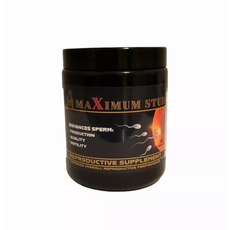 Vet Repro Supplies Maximum Stud - A Premium Canine Stud