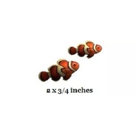 Tropical Clownfish Wall Decal Tropical Nemo Clown Fish Sticker Peel & Stick Art