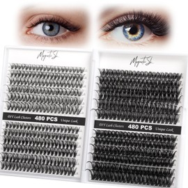 Lash Clusters 480 Clusters 60D 80D Thick Eyelash Extension 30D 40D Fluffy Individual Eyelashes D Curl 11-20mm False Eyelash Multi-Style DIY Lash Extensions for Beginners(30D-80D-D, 11-20MIX)
