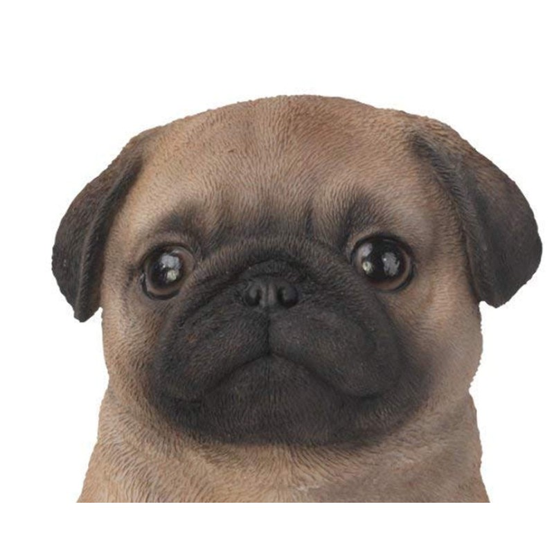 Vivid Arts Mops Welpenfreund – Braun mit schwarzen Akzenten