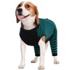 Kuoser Dog Recovery Suit for Back Legs, Soft Dog Surgery